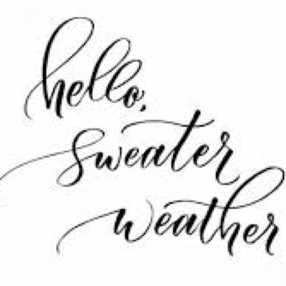 Vintage Eddie Bauer Sweater V-neck Cotton Knit Ivory Cream Off White Size Large - Picture 11 of 16